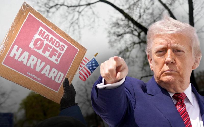 Why has Harvard become a thorn in Trump’s side?