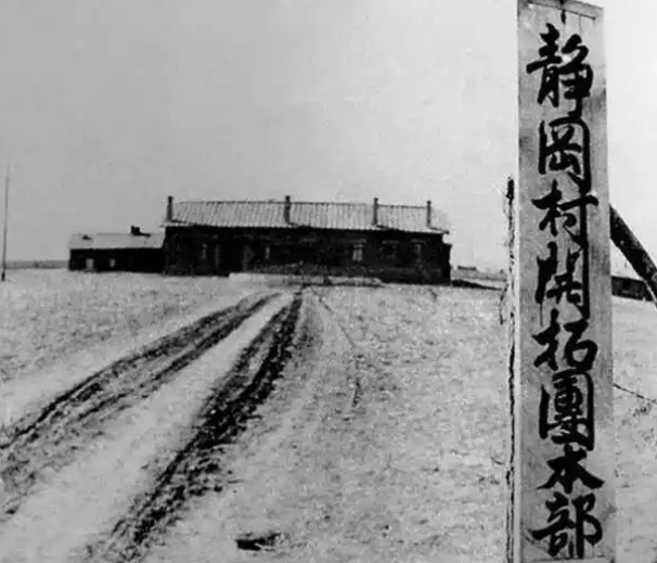 Why did the Japanese pioneers commit mass suicide when the Soviet Red Army attacked the Kwantung Army in 1945?